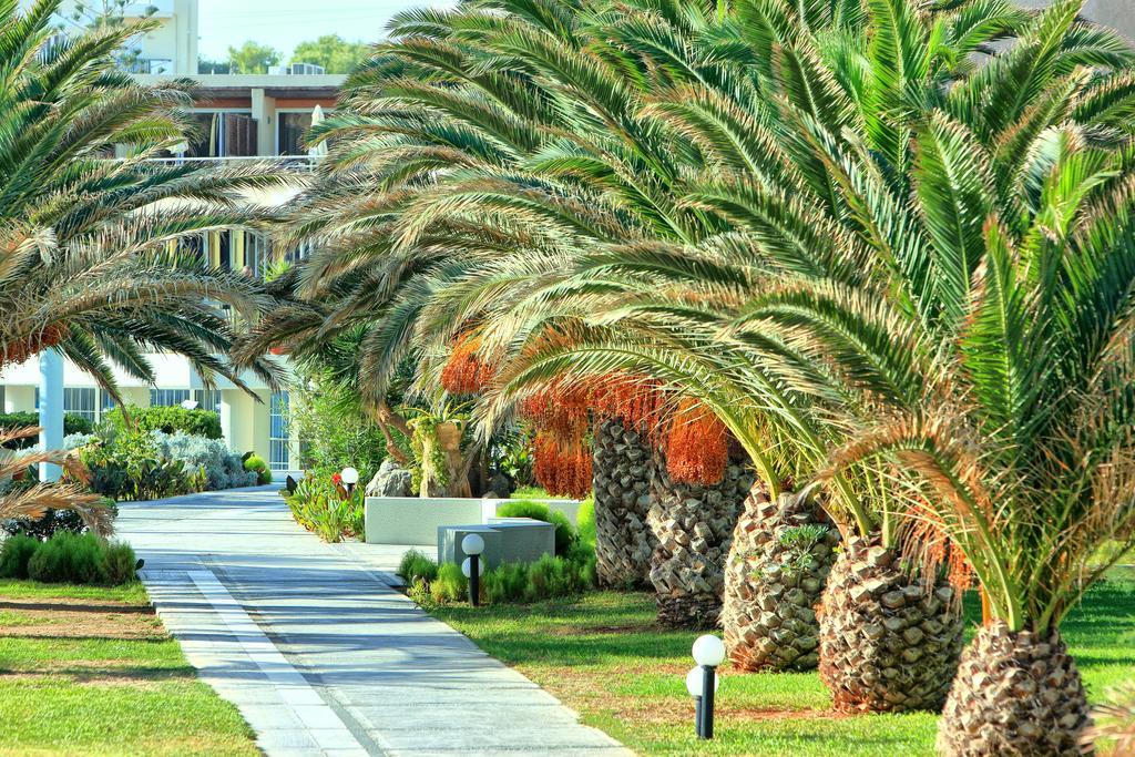Gazi Santa Marina Beach מראה חיצוני תמונה